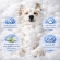 Fluído Hidratante para Pet Hipoalergênico Alerpet 240ml